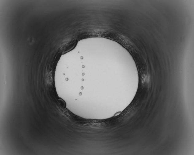 X0000083531204200703021543