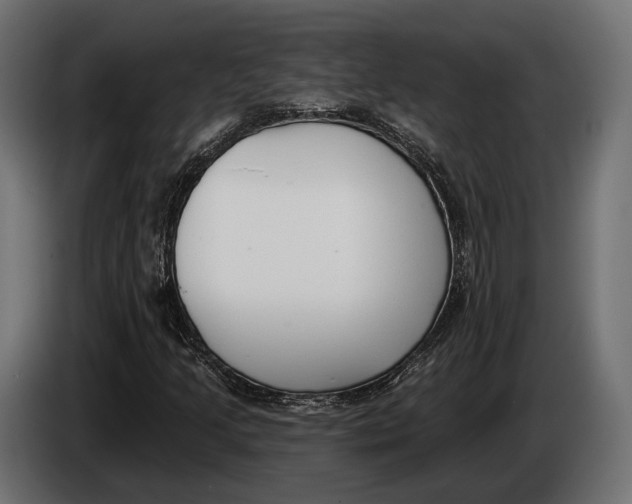 X0000083531205200703021543