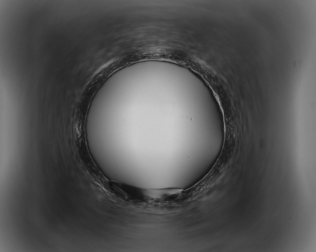 X0000083531206200703021543