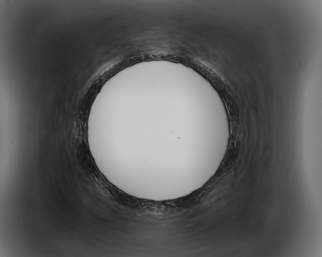 X0000083531207200703021543