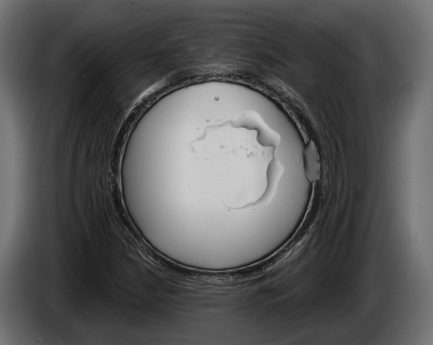 X0000083531210200703021543