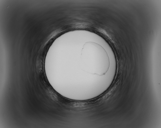 X0000083531211200703021543