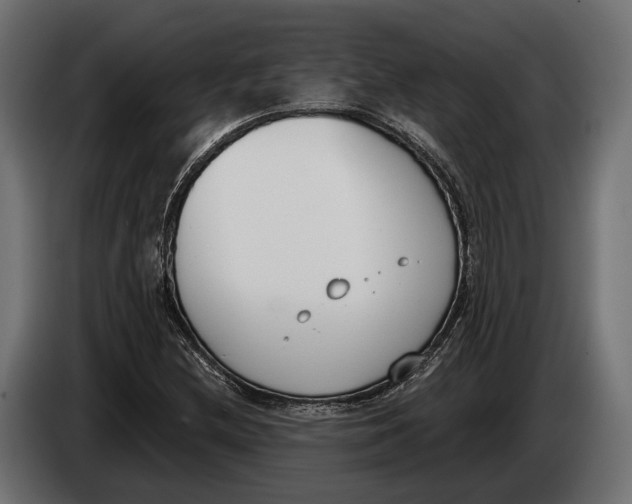 X0000083531212200703021543