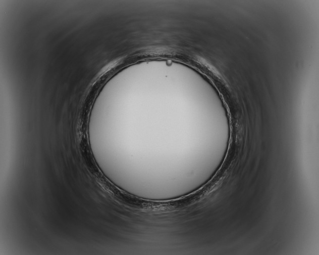 X0000083531213200703021543