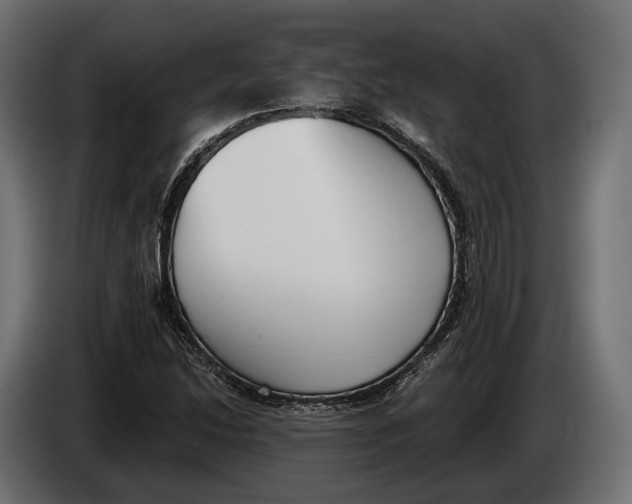 X0000083531214200703021543