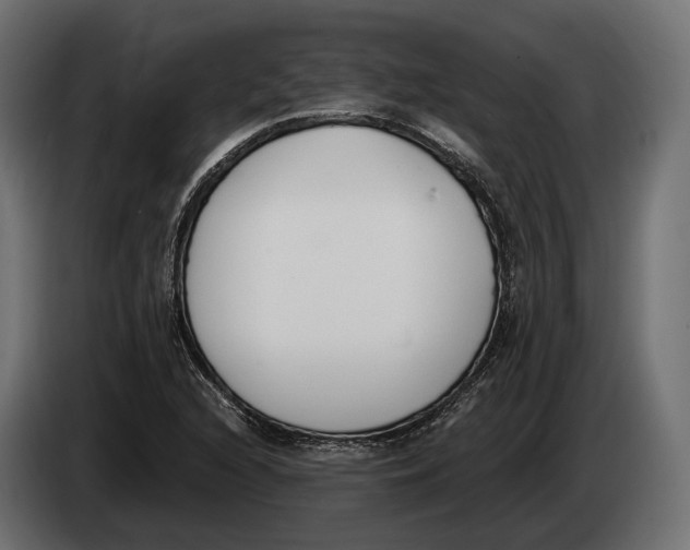 X0000083531216200703021543