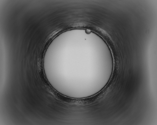 X0000083531217200703021543