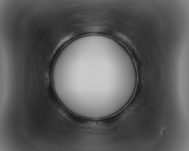 X0000083531218200703021543