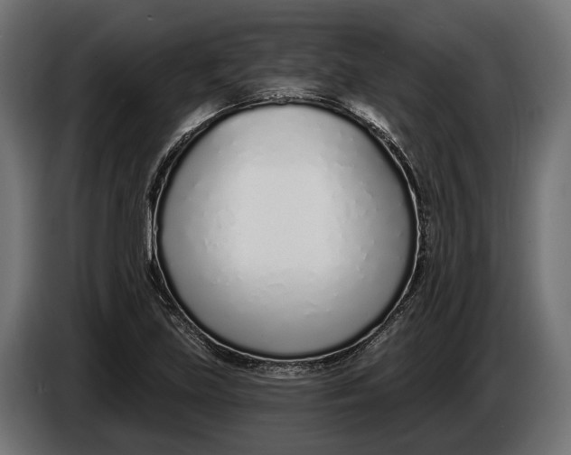 X0000083531219200703021543