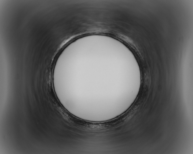 X0000083531220200703021543