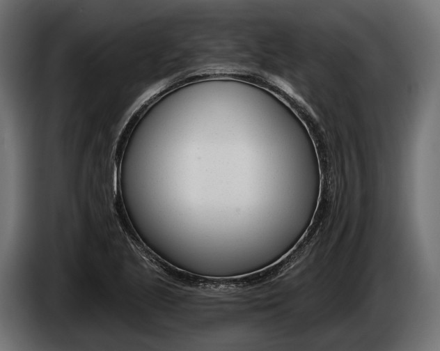 X0000083531221200703021543