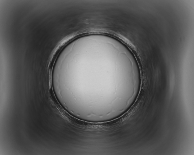 X0000083531223200703021543