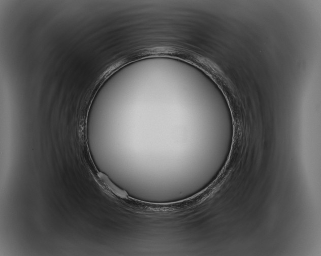 X0000083531225200703021543