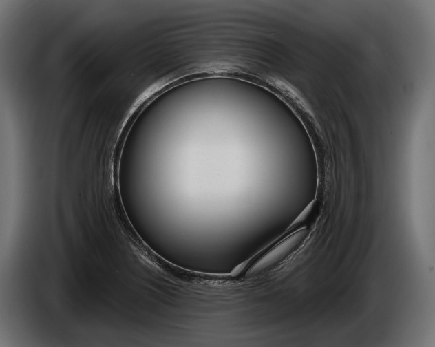 X0000083531226200703021543