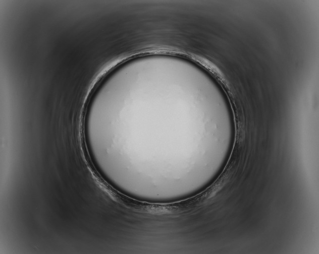 X0000083531231200703021543