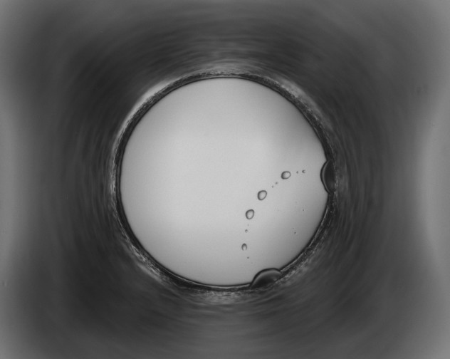 X0000083531232200703021543