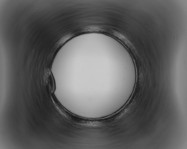 X0000083531233200703021543