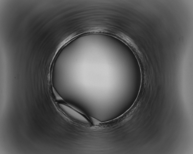 X0000083531234200703021543