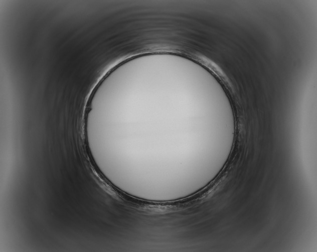 X0000083531236200703021543