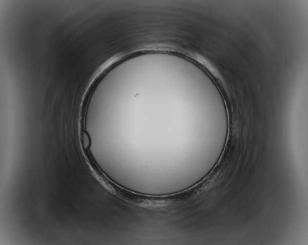 X0000083531237200703021543