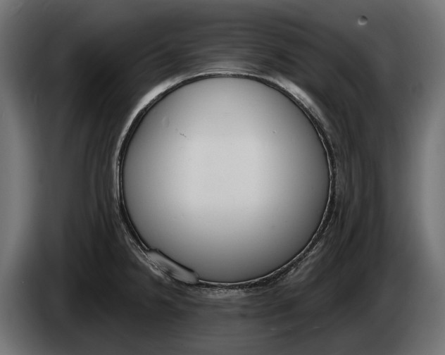 X0000083531238200703021543