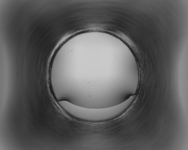 X0000083531240200703021543