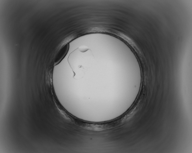 X0000083531241200703021543