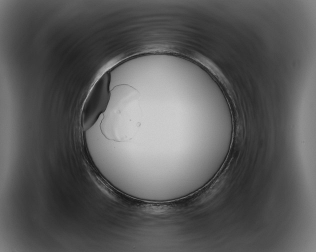 X0000083531242200703021543