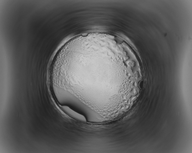 X0000083531243200703021543