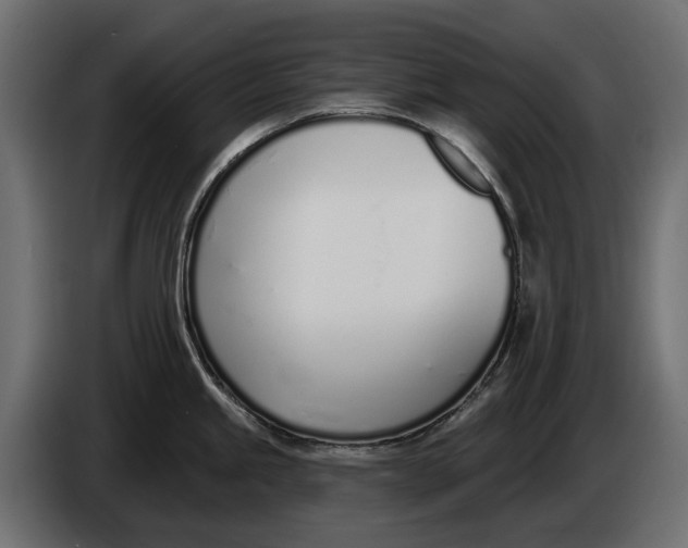 X0000083531245200703021544