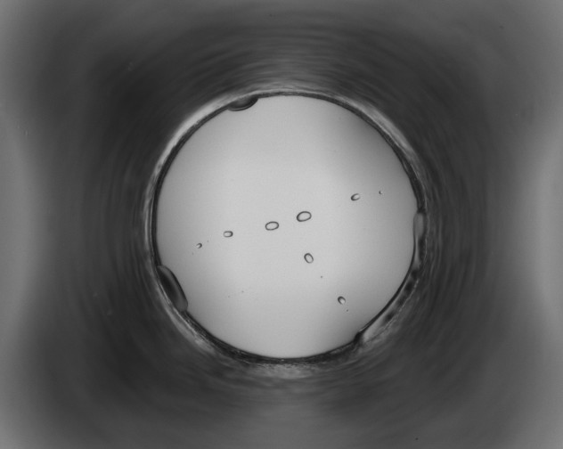 X0000083531246200703021544