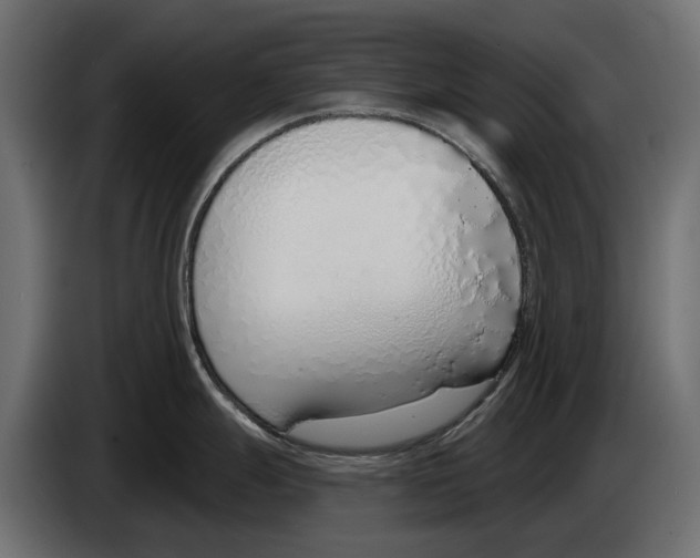 X0000083531247200703021544