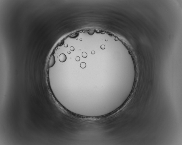 X0000083531248200703021544