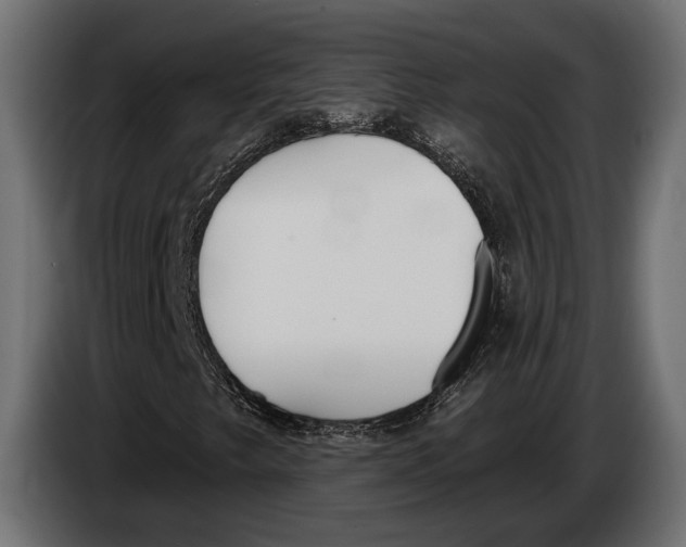 X0000083531249200703021543