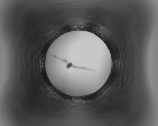 X0000083531250200703021543