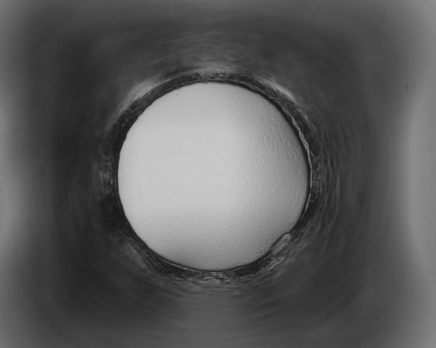 X0000083531255200703021543