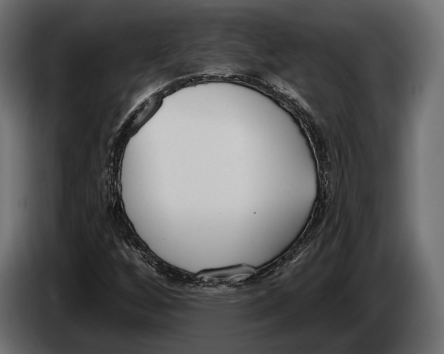 X0000083531256200703021543