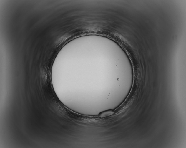 X0000083531257200703021543