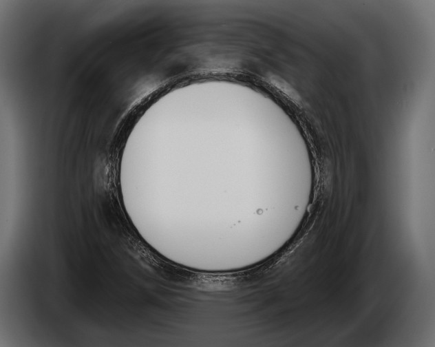 X0000083531258200703021543