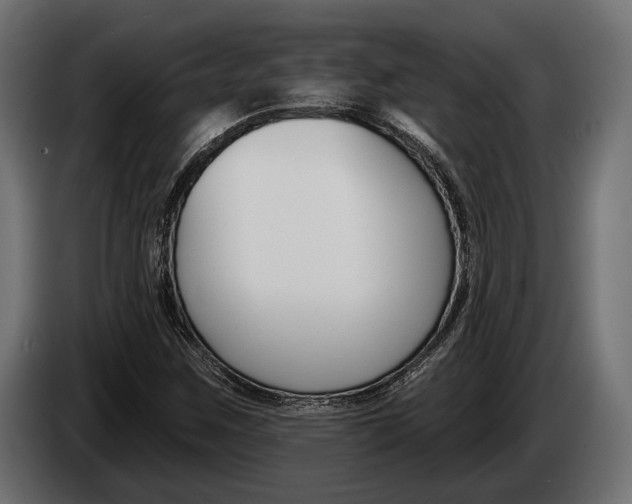 X0000083531259200703021543