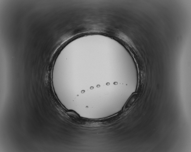 X0000083531260200703021543