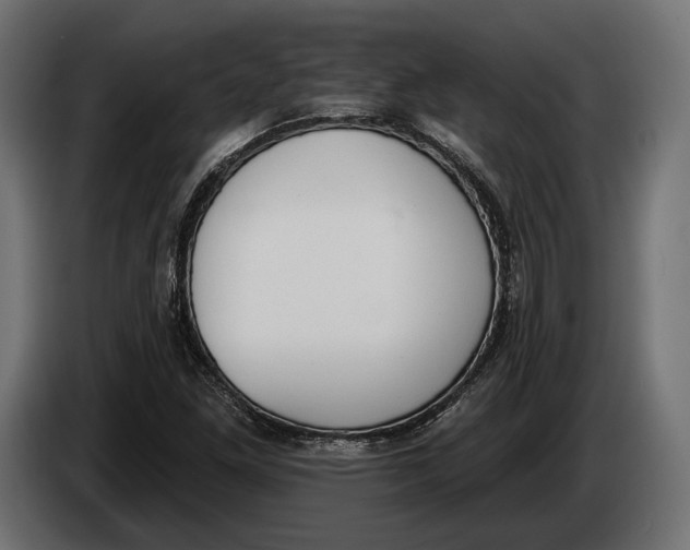 X0000083531261200703021542