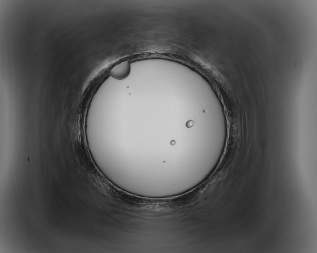 X0000083531262200703021542