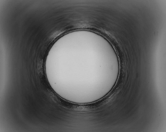 X0000083531265200703021542