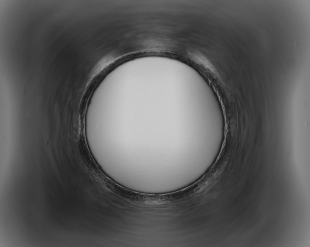 X0000083531267200703021542