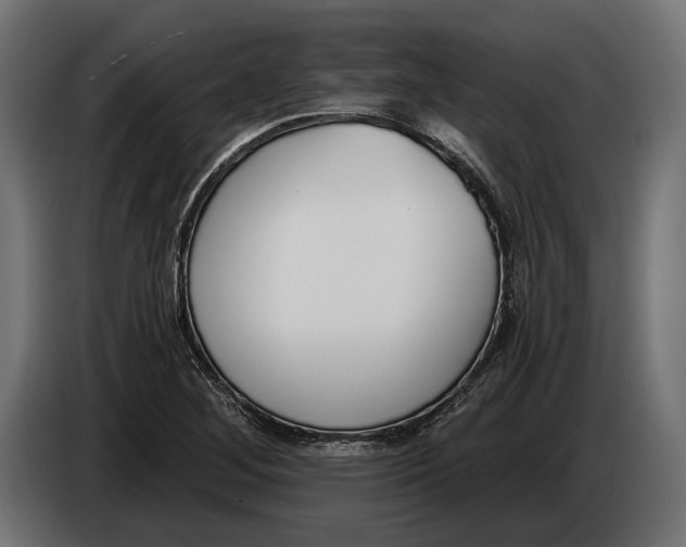 X0000083531268200703021542