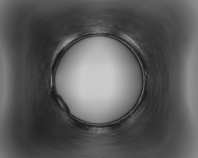 X0000083531269200703021542