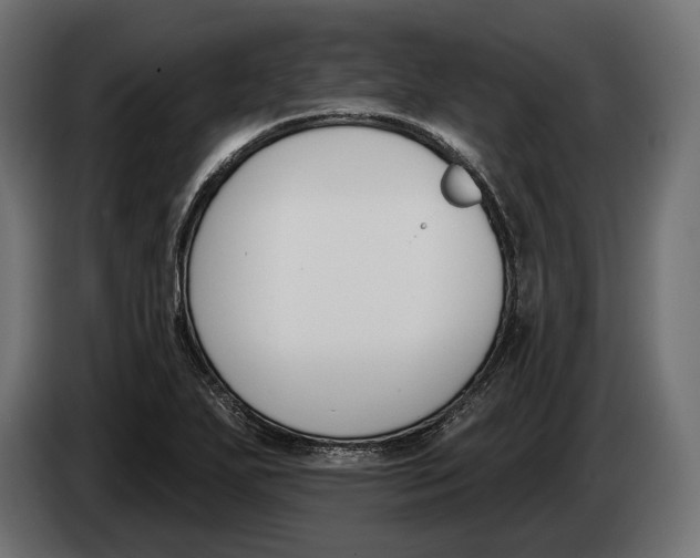 X0000083531271200703021542