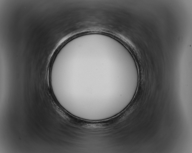 X0000083531272200703021542