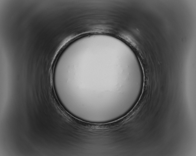 X0000083531275200703021542